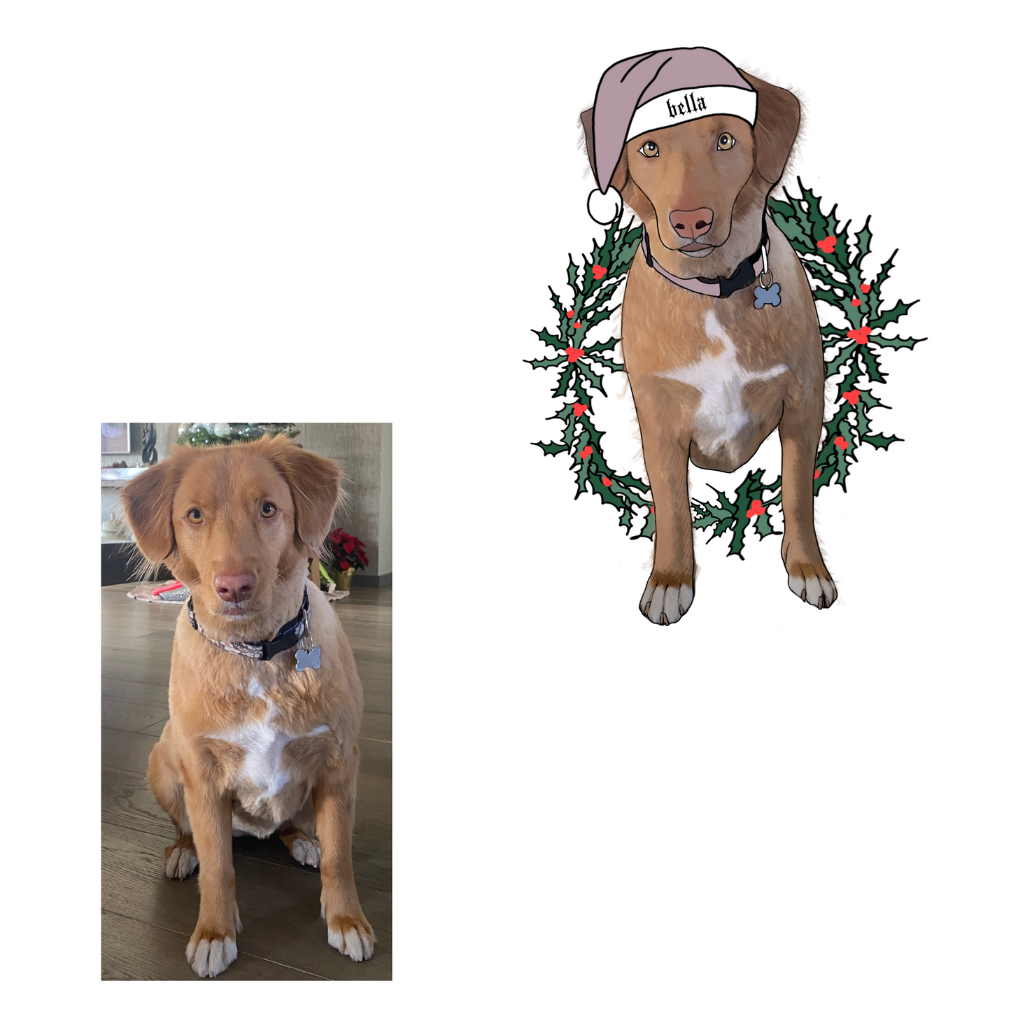 Custom Pet Portrait